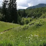 Apartman -bohinj- Pokljuka- Triglav National Park *