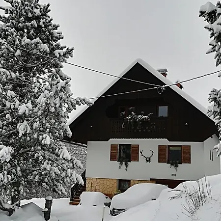 -bohinj- Pokljuka- Triglav National Park 公寓