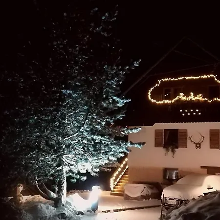 -bohinj- Pokljuka- Triglav National Park Apartment