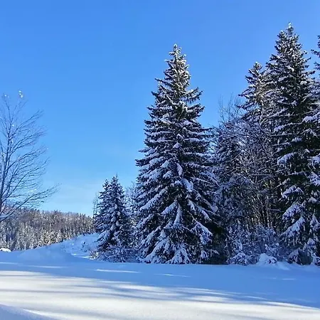 アパート -bohinj- Pokljuka- Triglav National Park