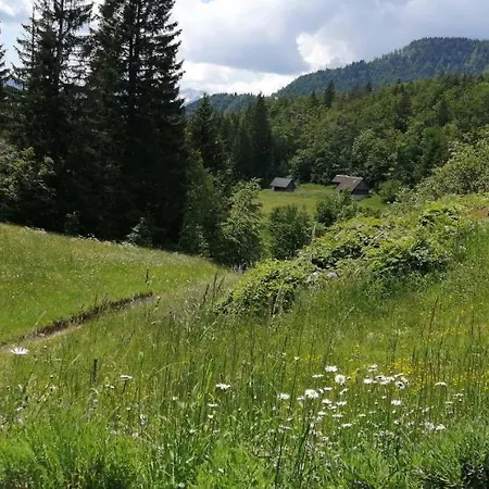 Apartament -bohinj- Pokljuka- Triglav National Park *