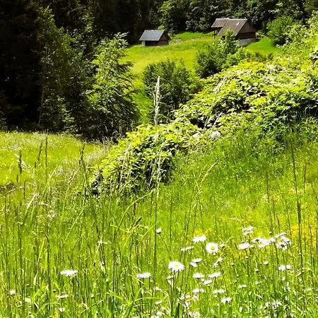 -bohinj- Pokljuka- Triglav National Park Apartman Koprivnik v Bohinju