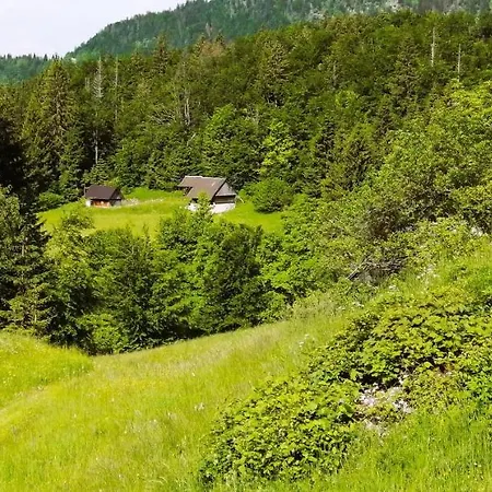 -bohinj- Pokljuka- Triglav National Park アパート