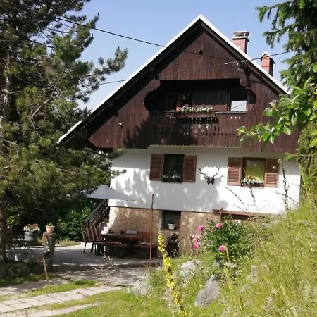 -bohinj- Pokljuka- Triglav National Park Apartman *