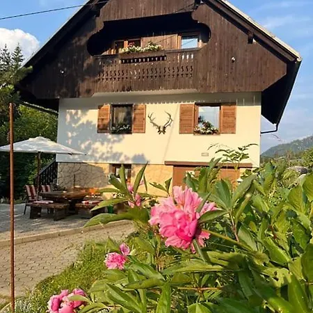 -bohinj- Pokljuka- Triglav National Park * Koprivnik v Bohinju