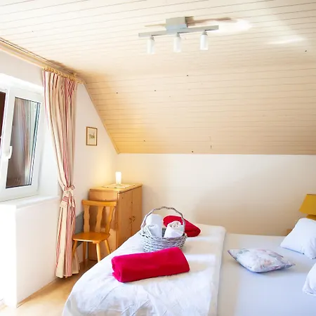 -bohinj- Pokljuka- Triglav National Park