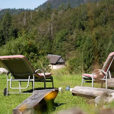 -bohinj- Pokljuka- Triglav National Park 公寓 Koprivnik v Bohinju