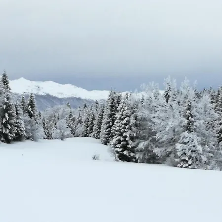 -bohinj- Pokljuka- Triglav National Park *