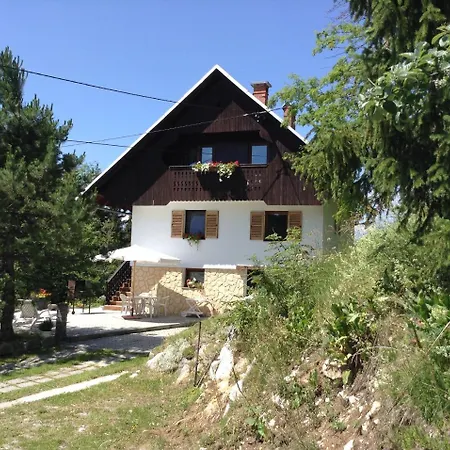 -bohinj- Pokljuka- Triglav National Park 公寓 *