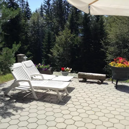 -bohinj- Pokljuka- Triglav National Park 公寓 Koprivnik v Bohinju