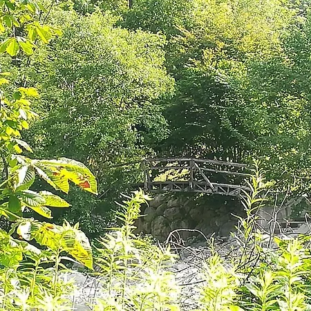 -bohinj- Pokljuka- Triglav National Park Appartement