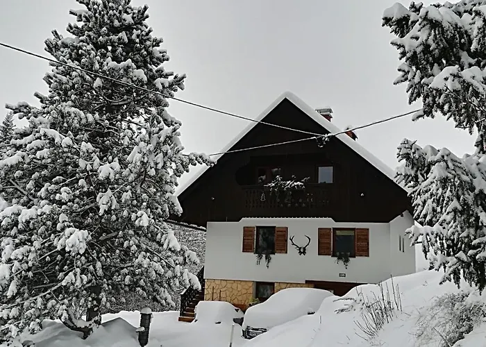 -bohinj- Pokljuka- Triglav National Park Διαμέρισμα