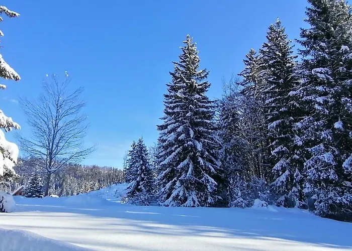 Апартаменты -bohinj- Pokljuka- Triglav National Park