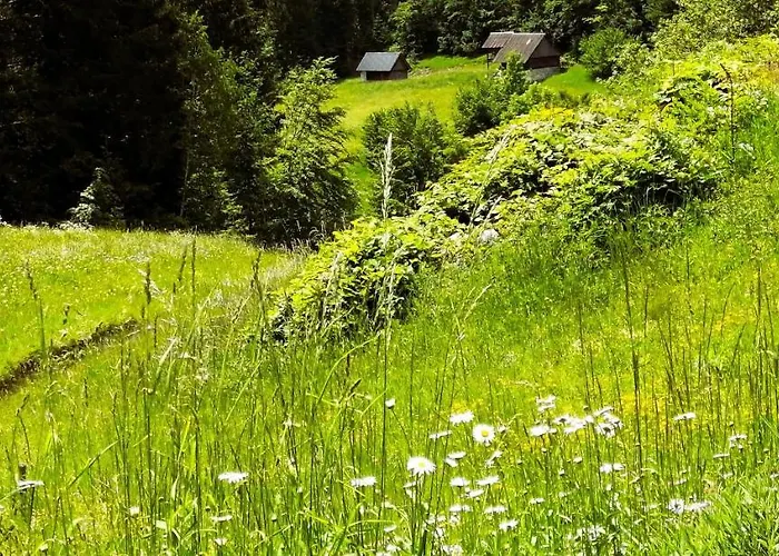 -bohinj- Pokljuka- Triglav National Park Διαμέρισμα Koprivnik v Bohinju
