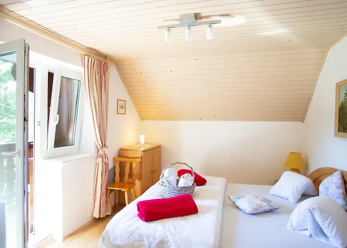 -bohinj- Pokljuka- Triglav National Park