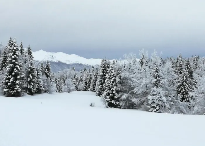-bohinj- Pokljuka- Triglav National Park *