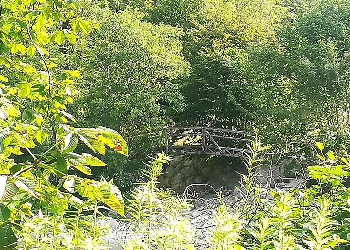 -bohinj- Pokljuka- Triglav National Park Apartment